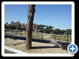 Rome - The Forum from Palatine Hill