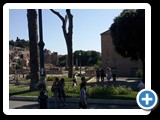 Rome - The Forum from Palatine Hill