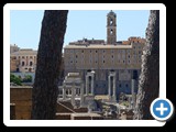 Rome - The Forum from Palatine Hill