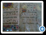 Siena Cathedral
Libreria Piccolominea